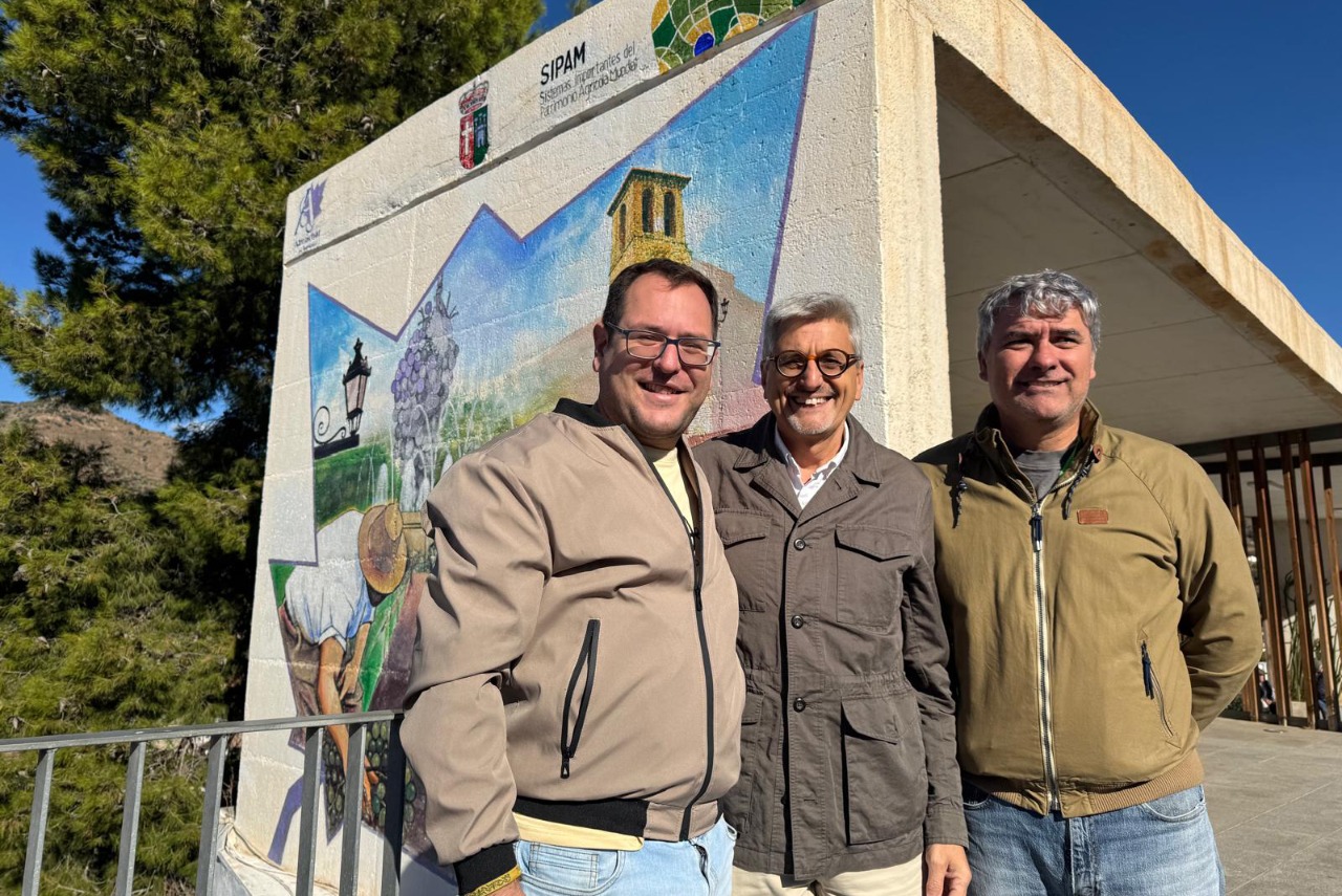 El PSOE reclama a Juanma Moreno una mayor implicación con el SIPAM de la uva pasa de la Axarquía