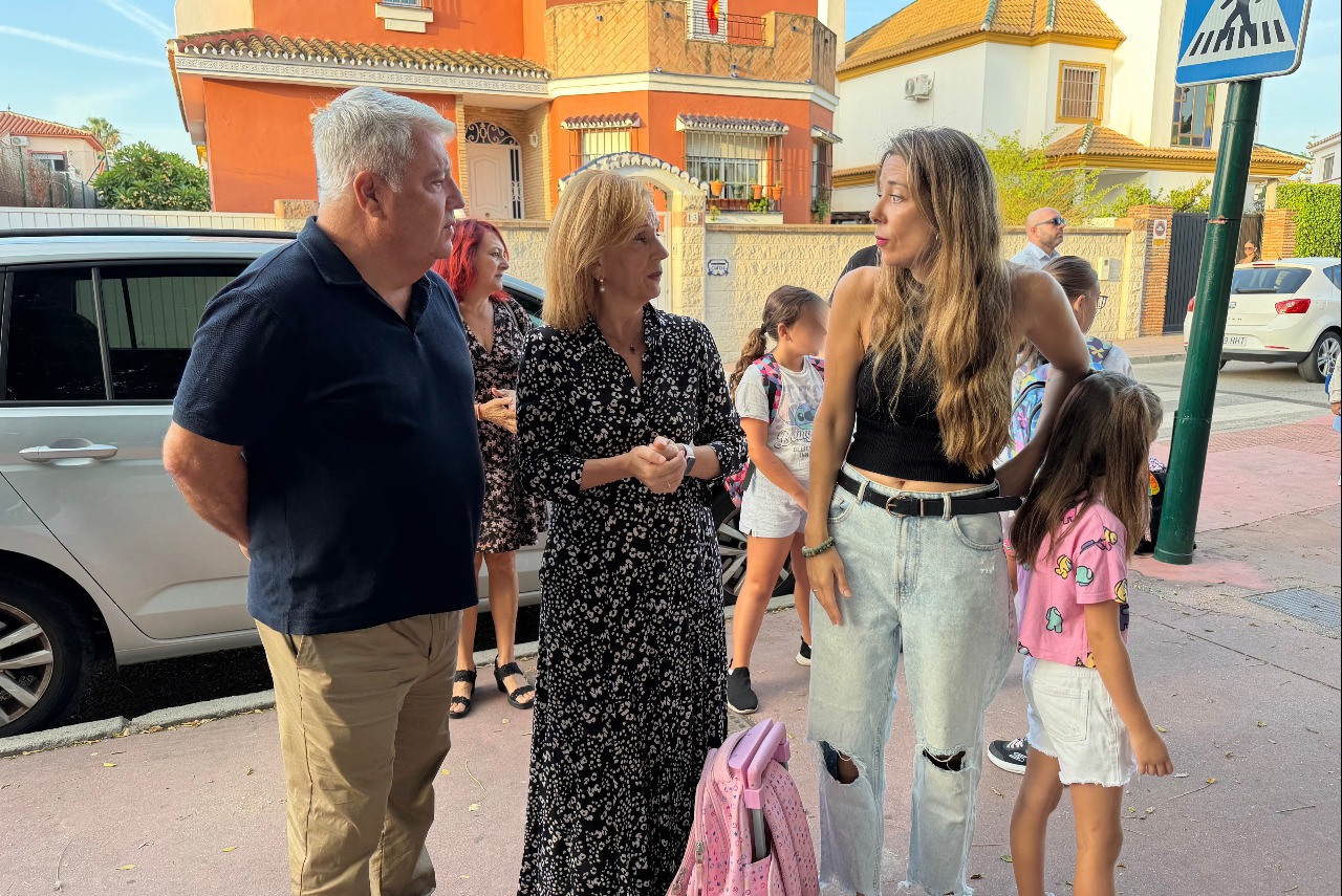 El PSOE exige medidas urgentes contra la proliferación de avispas que afecta a vecinos y niños en Guadalmar